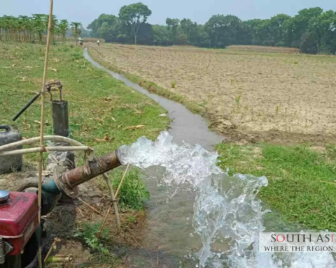 Diesel Shortage Threatens Boro Rice Production in Bangladesh