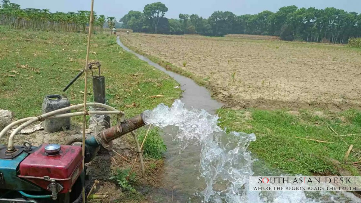 Diesel Shortage Threatens Boro Rice Production in Bangladesh