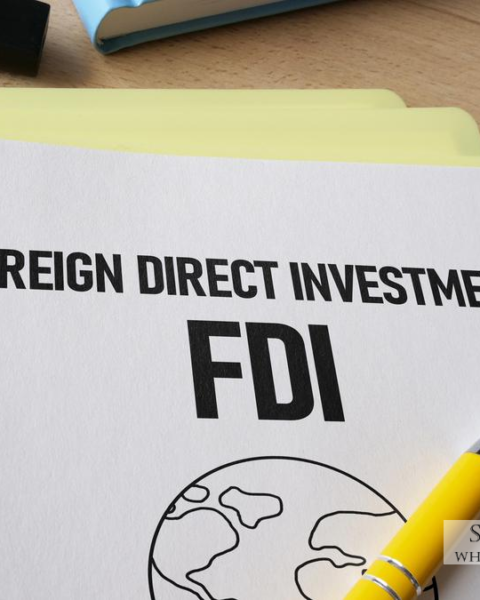 India's FDI: Government Eases Foreign Direct Investment Rules for Border Nations Including China