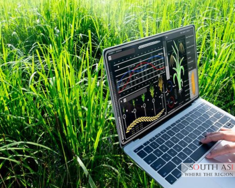 Karnataka Budget 2026: Eco-Friendly Farming Initiatives