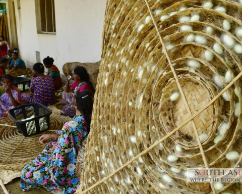 Karnataka Sericulture: Doubles Subsidy to Boost Farmers