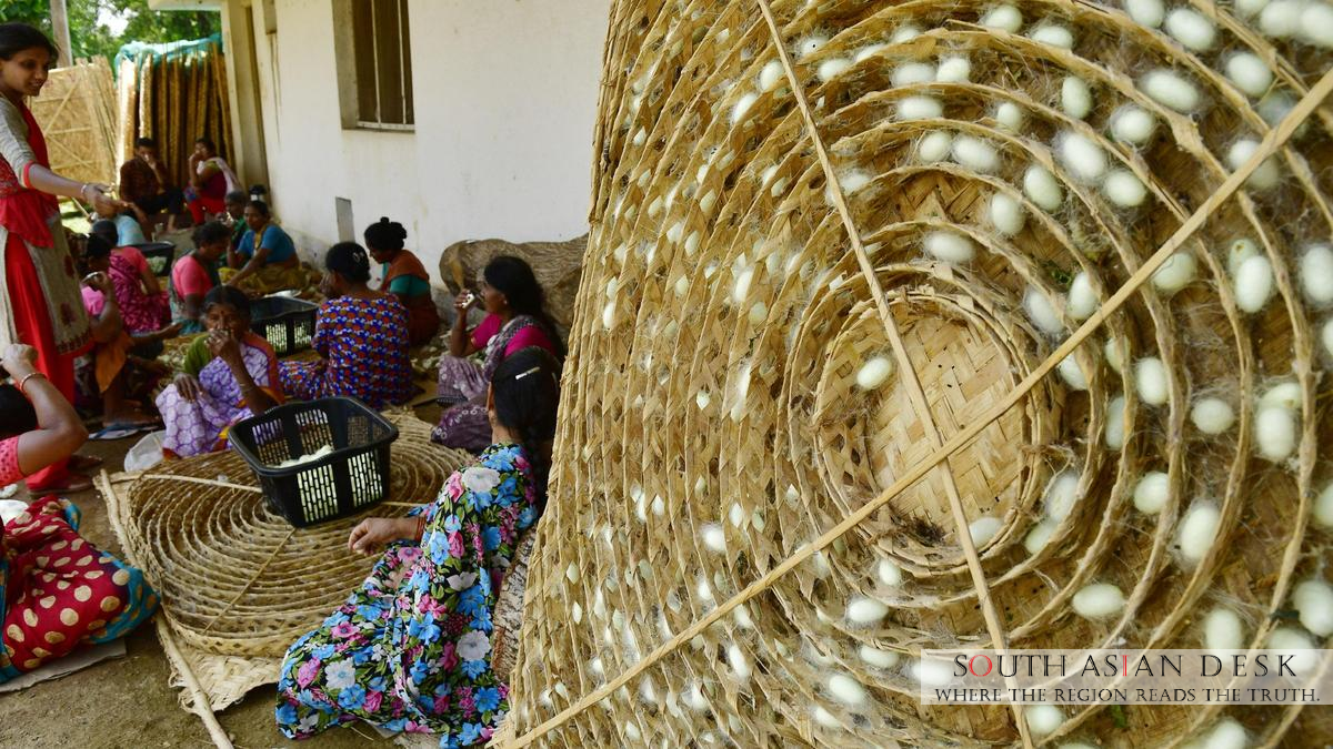 Karnataka Sericulture: Doubles Subsidy to Boost Farmers