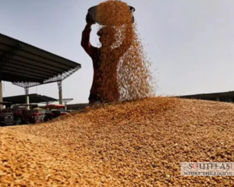 US Wheat Shipment Reaches Bangladesh: 62,150 tons