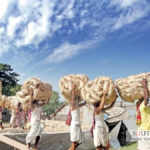 Bangladesh-Pakistan jute trade