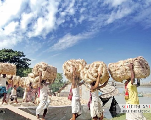 Bangladesh Expands Jute Exports to 138 Countries