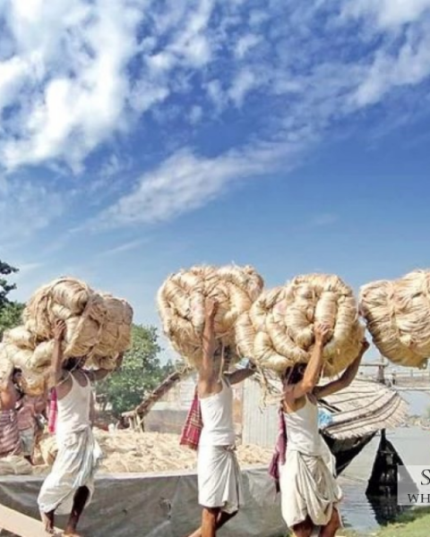 jute as a plastic alternative