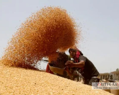 Bangladesh Wheat Import: Turns to India for Wheat Amid Global Shortage