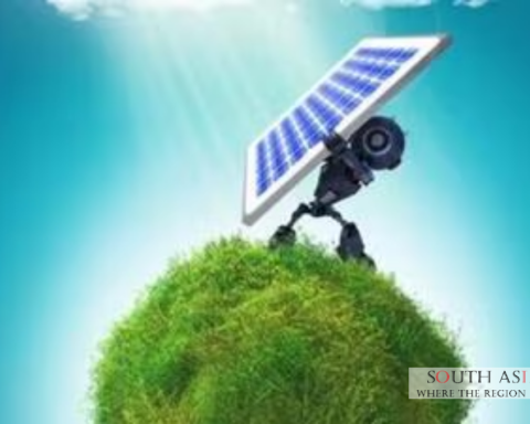 India Surpasses Brazil in Renewable Energy Capacity, Ranks Third Globally