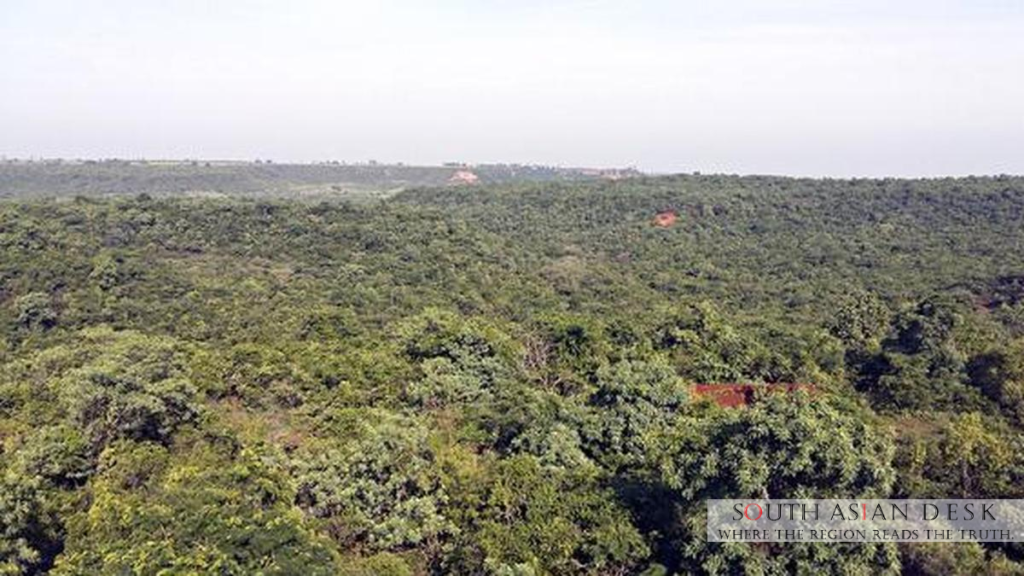 India's Forests to Double Carbon Storage by 2100