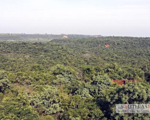 India's Forests to Double Carbon Storage by 2100