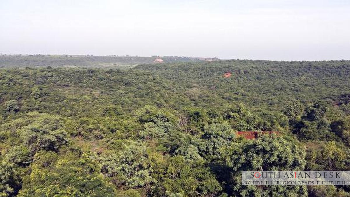 India's Forests to Double Carbon Storage by 2100