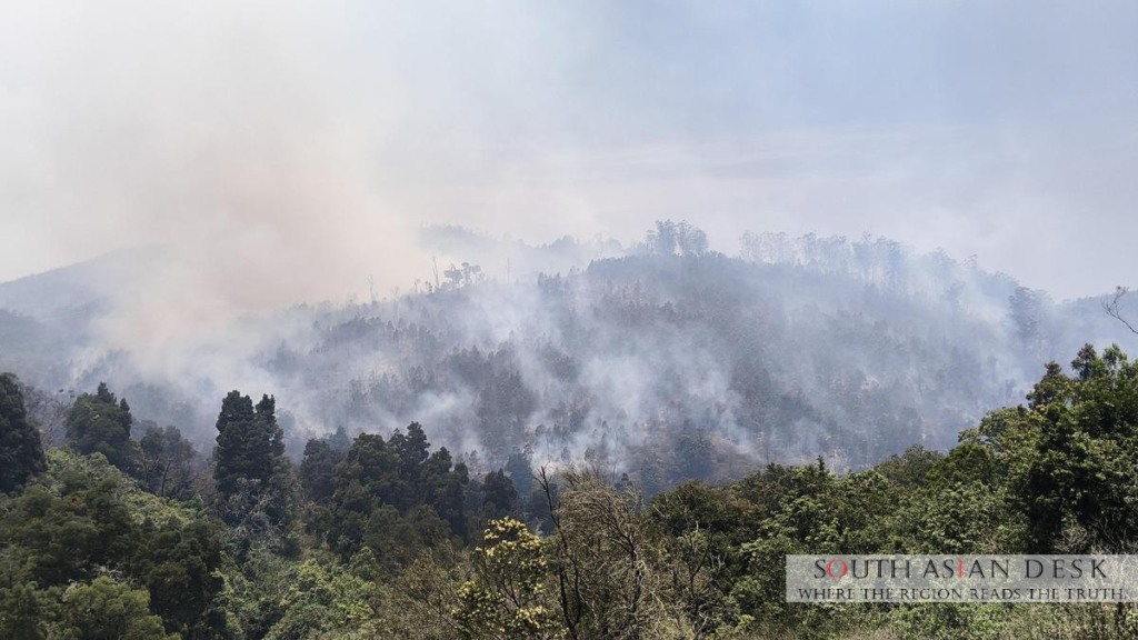 Nilgiris wildfire Ravages 100 Hectares