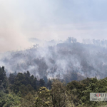 Nilgiris wildfire Ravages 100 Hectares