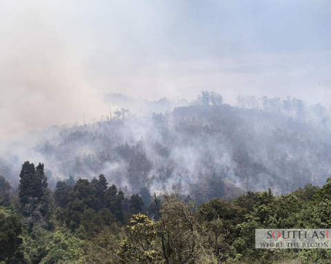 Nilgiris wildfire Ravages 100 Hectares