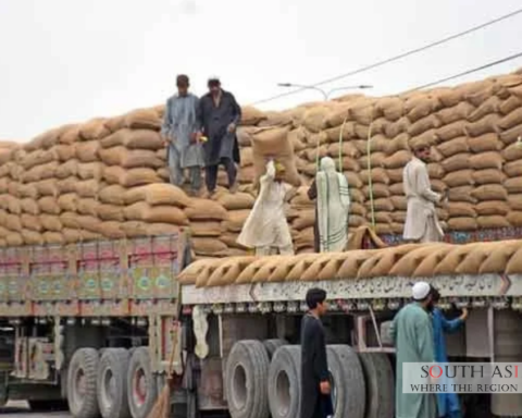Pakistan Replaces Passco with Rs350bn Wheat Firm