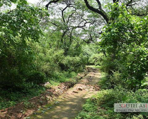 Delhi India: 673 hectares of Central Ridge Reserved as Forest Land