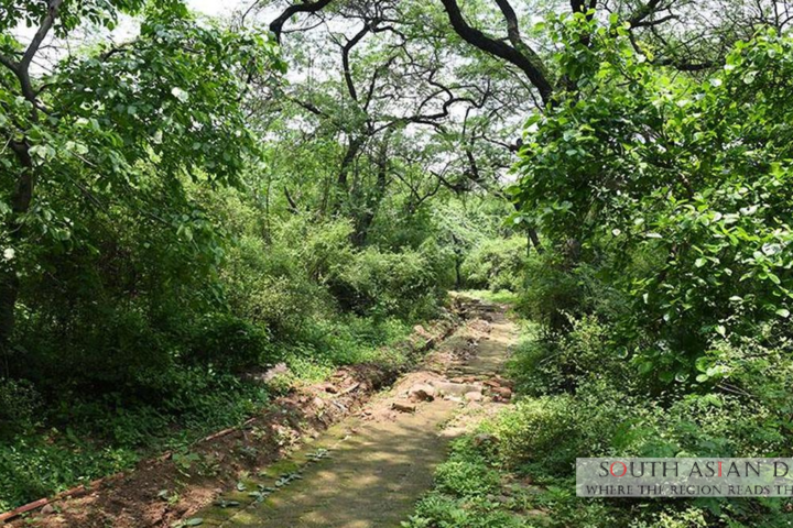Delhi India: 673 hectares of Central Ridge Reserved as Forest Land