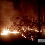 Indian Army & IAF Contain Kasauli Forest Fire