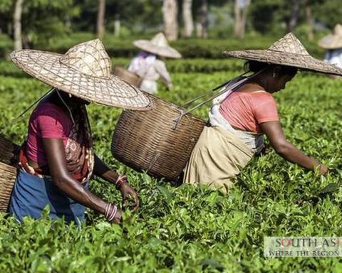 India's Labour Force Participation: A 2025 Overview