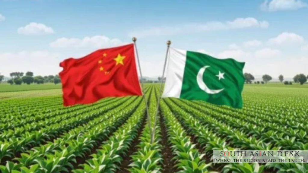 Pakistan agricultural exports: Aims to Double Exports by 2035