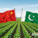 Pakistan agricultural exports: Aims to Double Exports by 2035