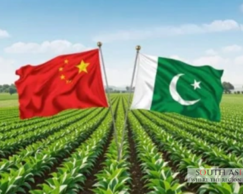Pakistan agricultural exports: Aims to Double Exports by 2035