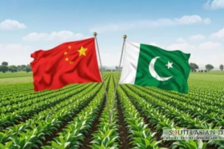 Pakistan agricultural exports: Aims to Double Exports by 2035