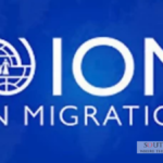 Structured Migration Pathways Urged for Pakistan