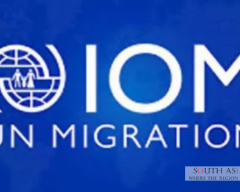 Structured Migration Pathways Urged for Pakistan