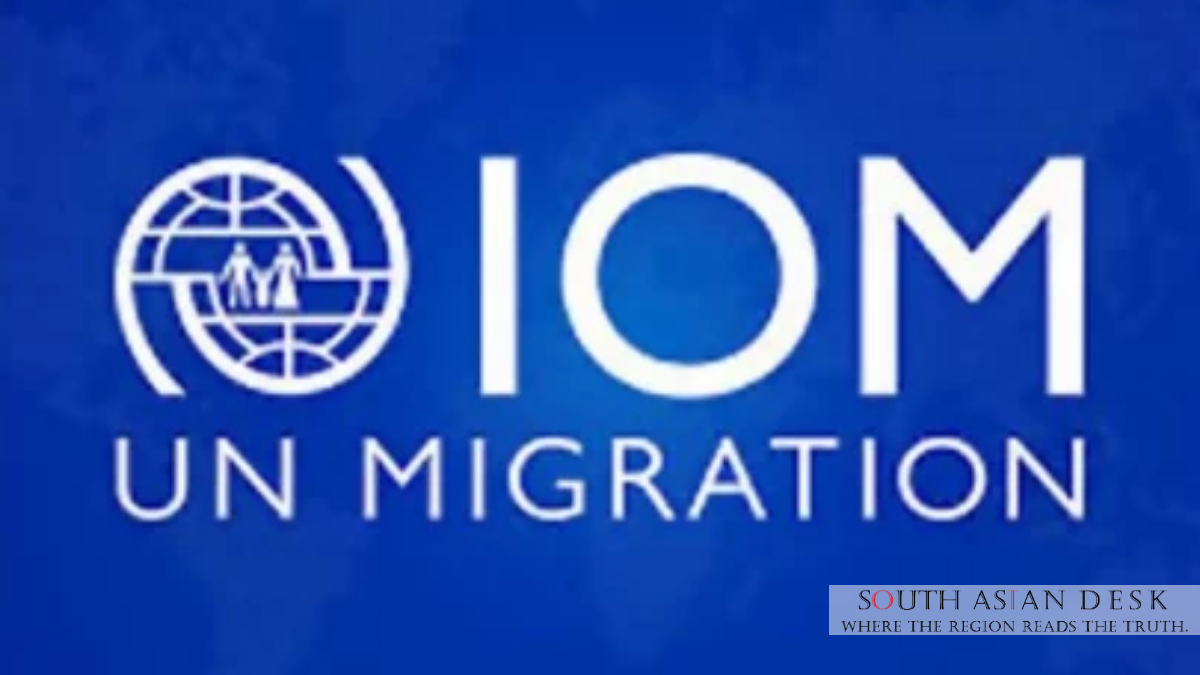 Structured Migration Pathways Urged for Pakistan