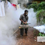 Sri Lanka Dengue Outbreak