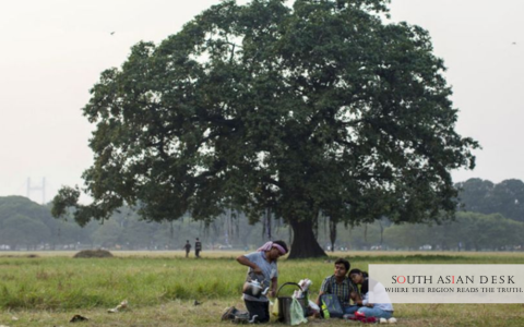 Purulia rare earth minerals