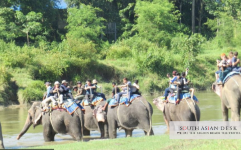 elephant safaris in Chitwan