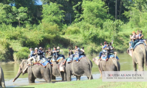 elephant safaris in Chitwan