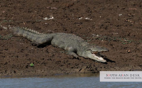 Yala National Park closure