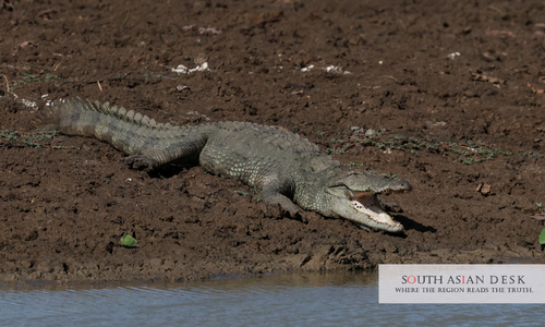 Yala National Park closure