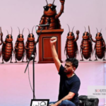 Cockroach Movement Leaders