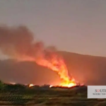 Angoor Adda Border Firing
