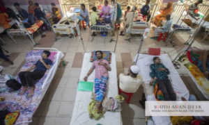 Dengue Surge in Bangladesh